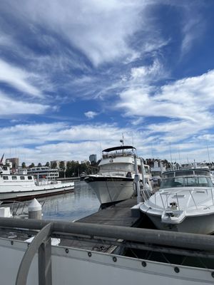 ShoreLine Aquatic Park by null