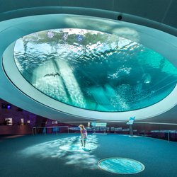 Phillip and Patricia Frost Museum of Science - The three-level Aquarium carries you from the surface to the depths of South Florida's crucial aquatic ecosystems and beyond.