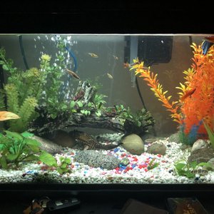 North America Pet Stores 11 Reviews Pet Stores 2255 Kingsway