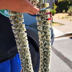 Evergreen Expression - High quality crispy bill lei.