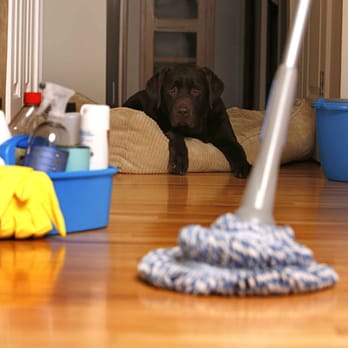 TTC Services - Home Cleaning Near Me - Durham, North Carolina