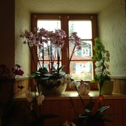 Restaurant Frohsinn