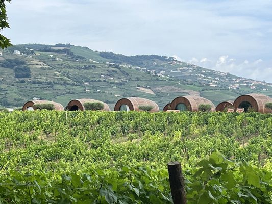 Quinta da Pacheca by null