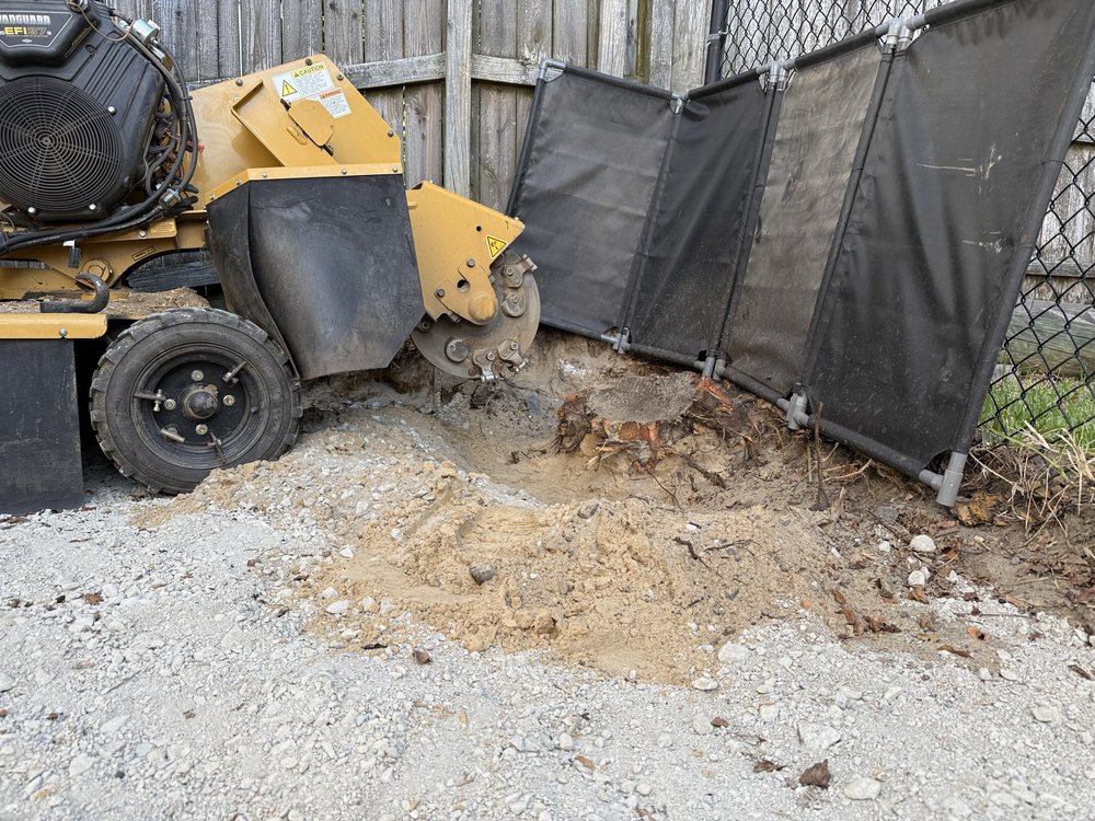 Brootforce Stump - tree service in Virginia Beach, VA