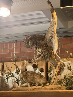 Shipley Nature Center by null