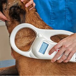 Leader Heights Animal Hospital