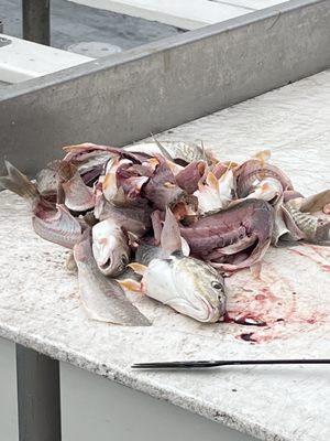 Dockside Seafood & Fishing Center by null