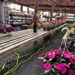 Corner Stone Garden Center - Flowers and hanging baskets