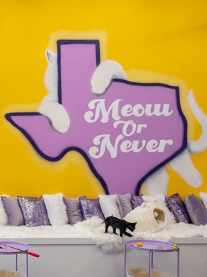 Purrfecto Cat Lounge by null