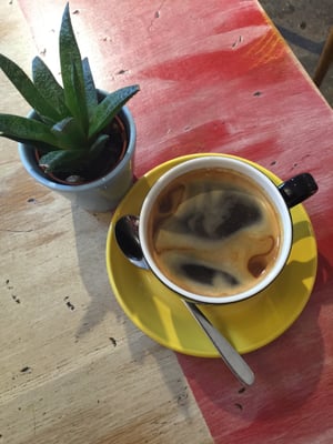 Jimmy and the Bee by null