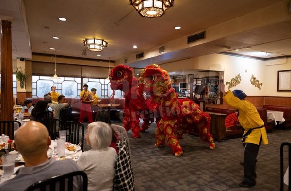 Lam's Garden by null