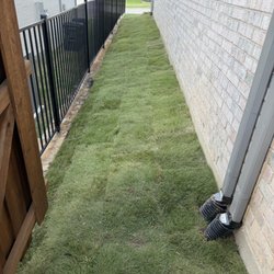 JIT Landscape and Design - Zeon Zoysia