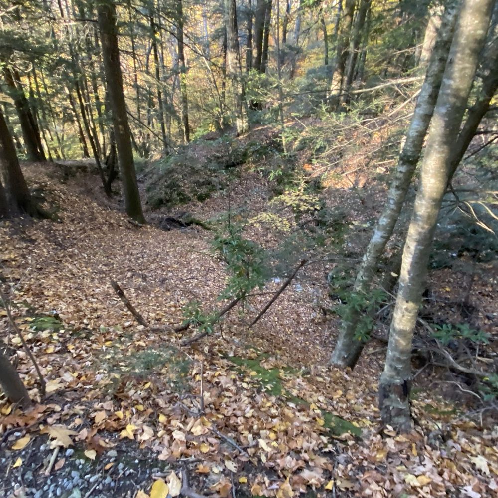 Bear Mountain - Hiking Near Me