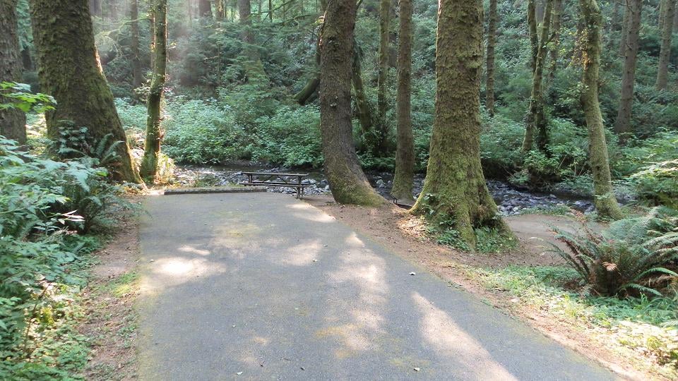 ROCK CREEK CAMPGROUND Updated September 2024 93825 Hwy 101 N