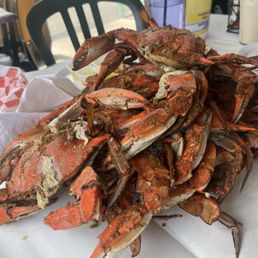 Crabbzzzzzzzzz Crabbzzzzzzzzz