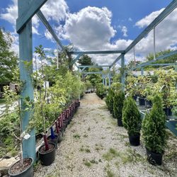Geist Nursery - Shrubs and trees