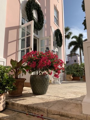 Pink Paradise Café by null