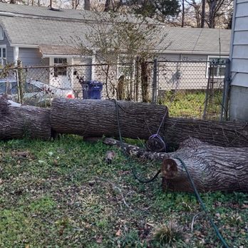 Trees Are Us - Tree Services Near Me - Lithia Springs, Georgia Trees Are Us - Tree Services Near Me - Lithia Springs, Georgia