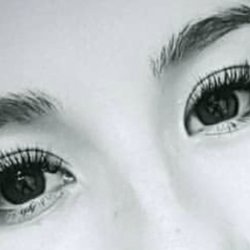 Prisme Lashes