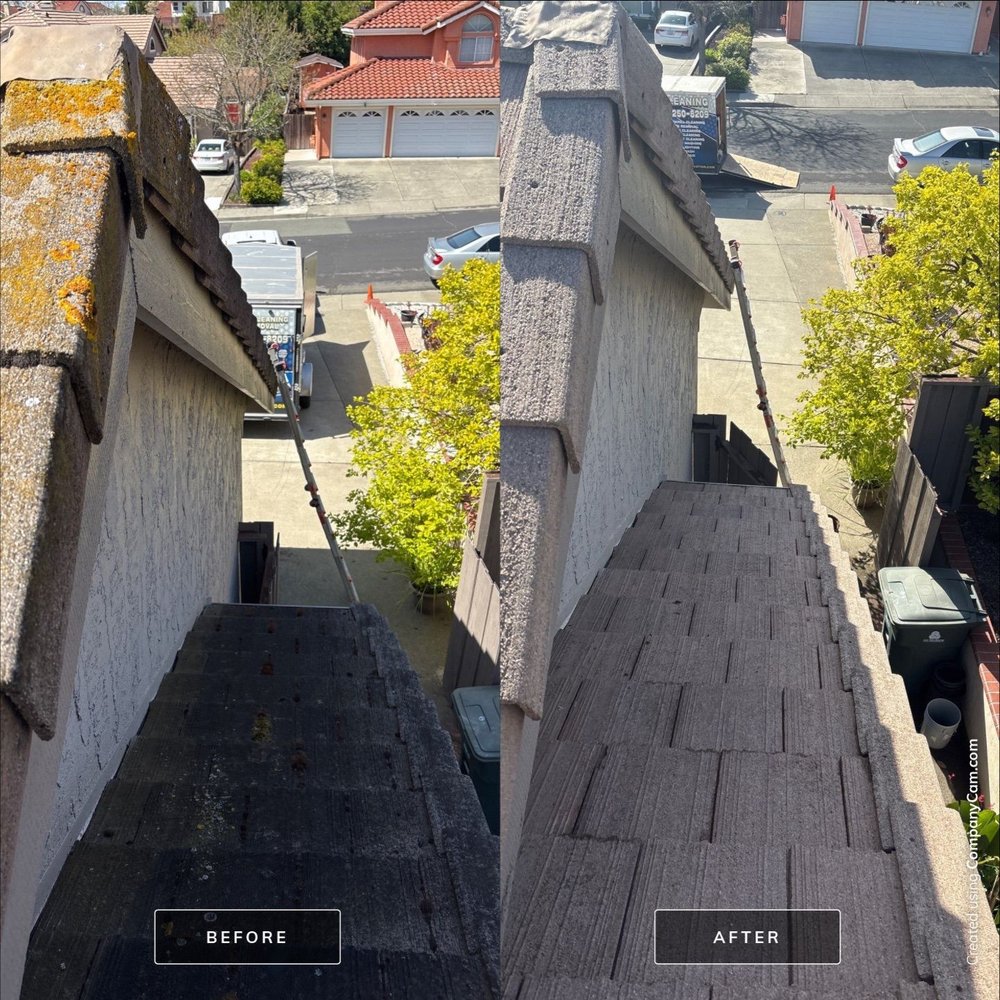 Slide of Moss X Roof Cleaning and Repair