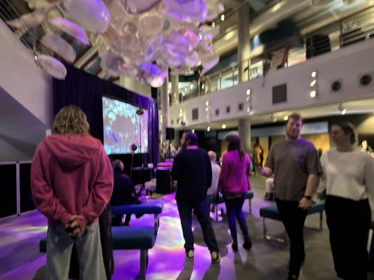 National Aquarium by null