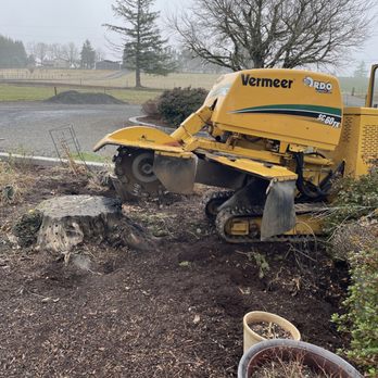Portland Stump Grinding - Stump Grinding in Silverton, Oregon - Tree Services Near Me Portland Stump Grinding - Stump Grinding in Silverton, Oregon - Tree Services Near Me