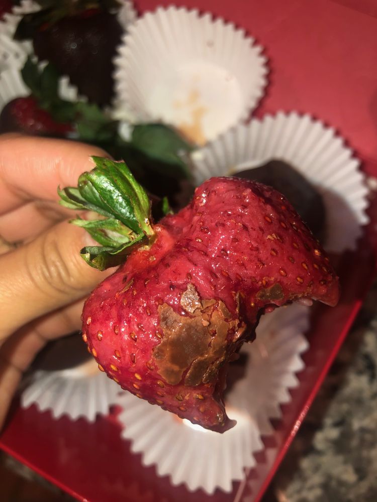 EDIBLE ARRANGEMENTS Updated September 2024 19 Reviews 2872 Wilma