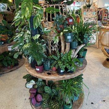 108 vine - Coffee & Tea Near Me - Gainesville, Florida