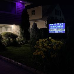 Rainforest Medical Aesthetics