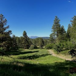 Pagosa Pines RV Park - Short path for walking