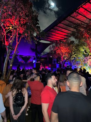 Pilo's Tequila Garden by null