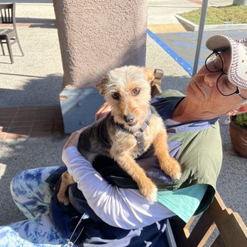Bark Bath - This was after her bath and haircut. - Pet Groomers Near Me - Walnut, California