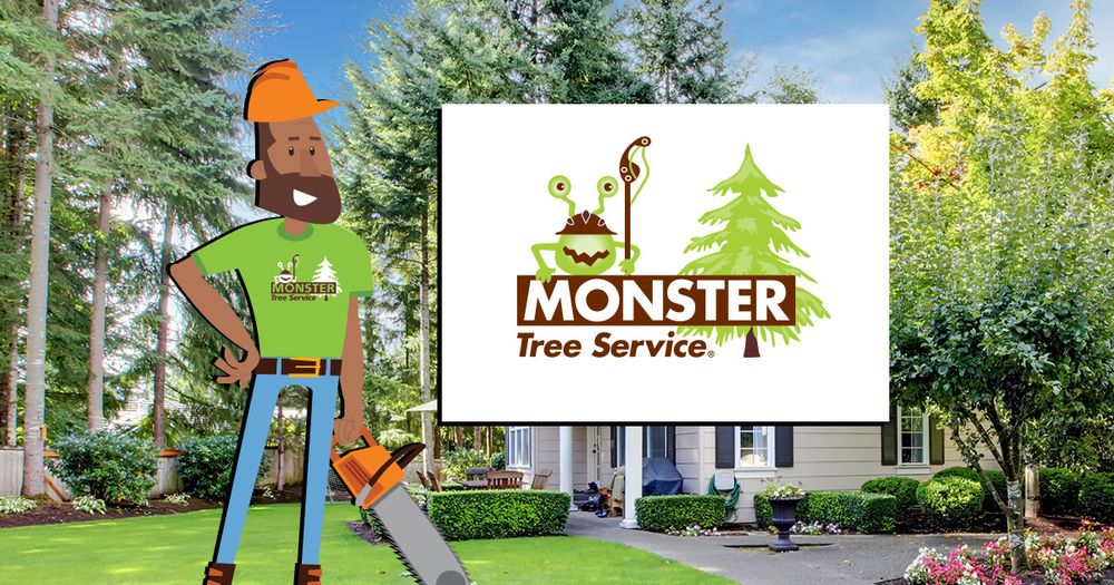 Monster Tree Service of Milford - tree service in Upton, MA