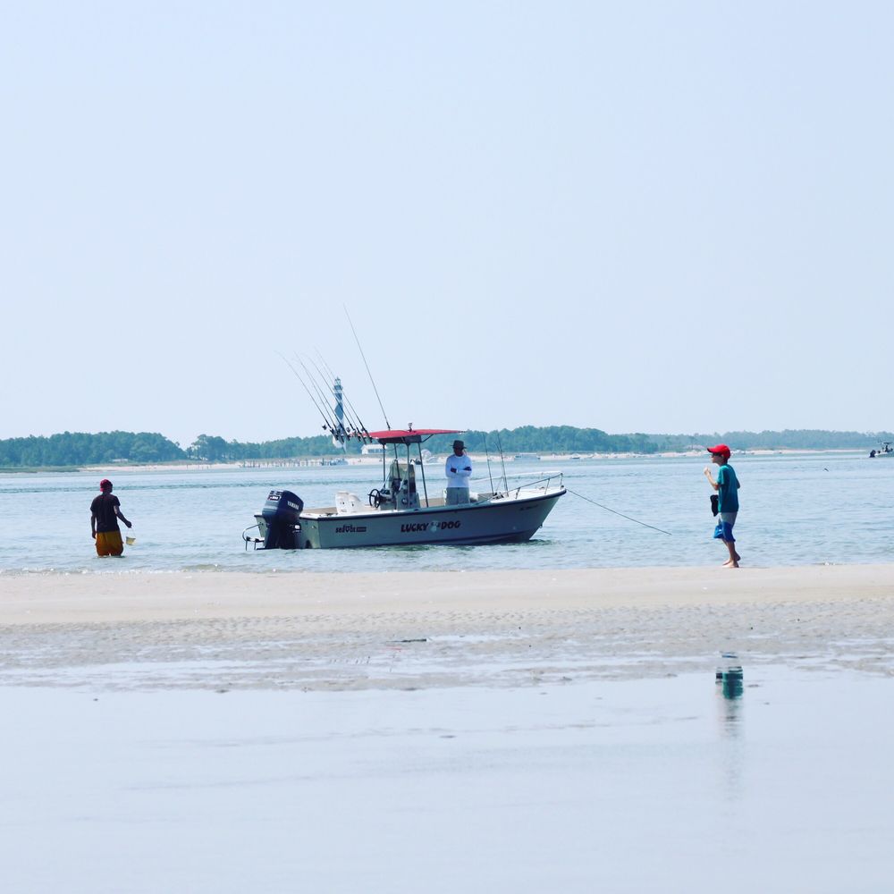 Amy Dish (@dish_arts) • Instagram photos and videos, image size:1000x1000