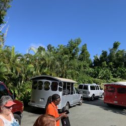 Sunny Liston Tours - Parking to shop