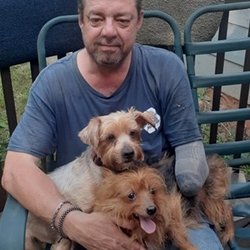 Chocolate Puppies Mobile Pet Grooming - Tony, Zoey and Hachi