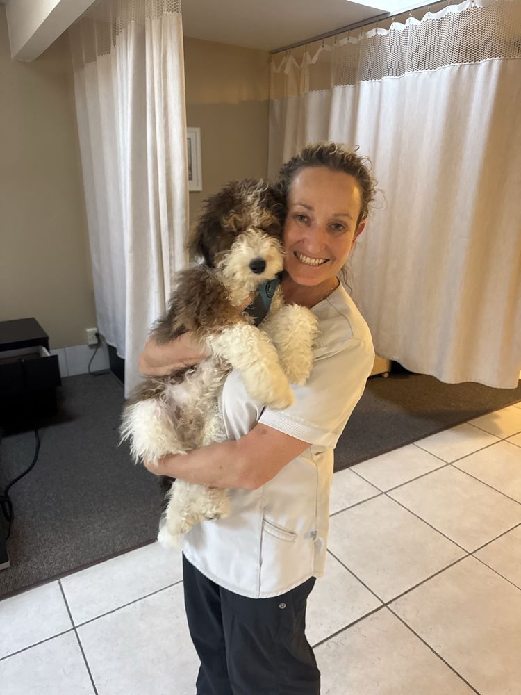 Dalya Rubanenko, DC Logo