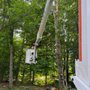 JR Ellington Tree Experts
