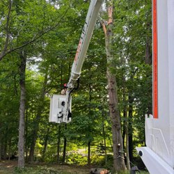 JR Ellington Tree Experts