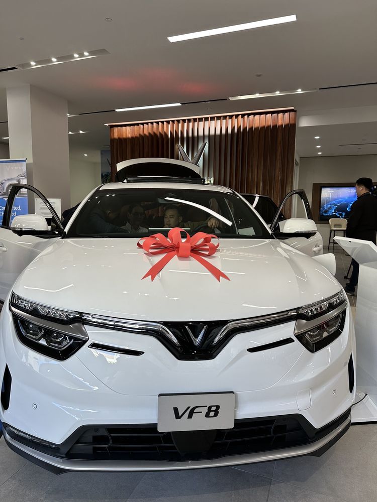 VINFAST HILLSDALE Updated August 2024 22 Photos 52 31st Ave, San