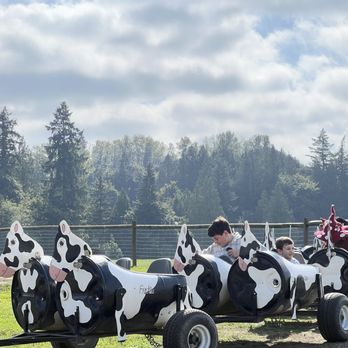 Bob's Corn & Pumpkin Farm - Cow train - Pumpkin Patches Near Me - Snohomish, Washington Bob's Corn & Pumpkin Farm - Cow train - Pumpkin Patches Near Me - Snohomish, Washington