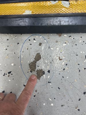 GARAGE FLOORING EXPERTS - 40 Photos & 18 Reviews - 165 Prairie Lake Rd