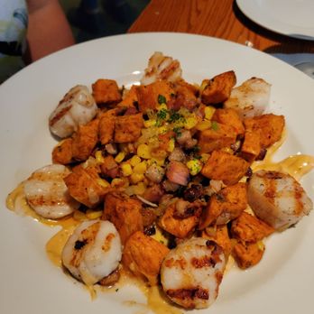 Cotton - Awsomness, scallops w sweet potato hash! So good!!! - Cocktail Bars Near Me - Manchester, New Hampshire