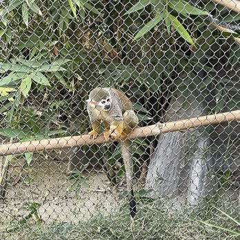 Reid Park Zoo - Zoos Near Me - Tucson, Arizona