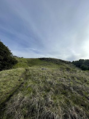 Ring Mountain Preserve by null