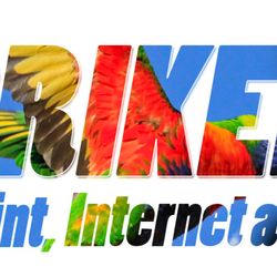 Lorikeet Copy Print Internet
