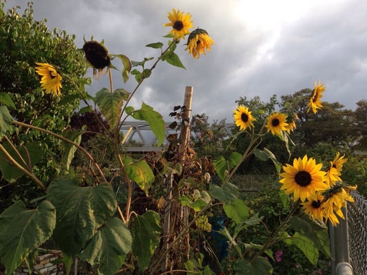 Cafes - CAFE EULE - 13 Photos - Bülowstr. 68, Berlin, Germany