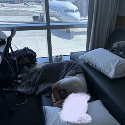 The "bed" The "bed"