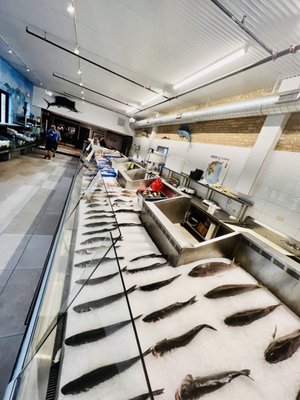 Boston Fish Market by null
