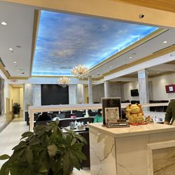 Premium Nails & Spa - Action Shot